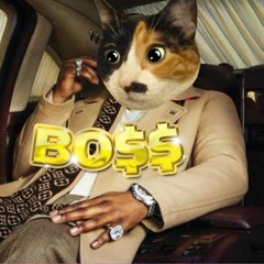 GROMKI & DAN CIN - 40THIEVEZ