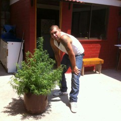 La Mala Junta - Es La Que Vivimos (con AntyPlagio & Alfa) (Prod. SeeDocGee)