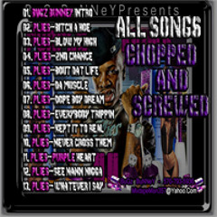 Plies- Whatever I Say