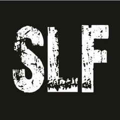Scars From The Last Fight - Spider (New Single - 2013)