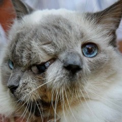 Wowwww Yea Wow (truly astonished)