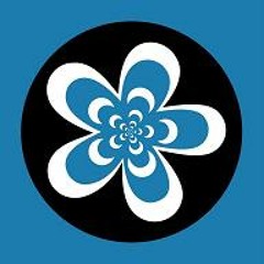 Lunks : Massaz (preview) [Flying Flowers Records]
