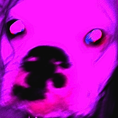 I Passed The BAR (demo)