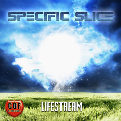 Specific Slice - Supernova Explosion (with Damian Wasse)