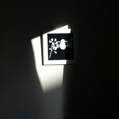 Egyptian Slave Or Slave Of God?  at Bingham Park