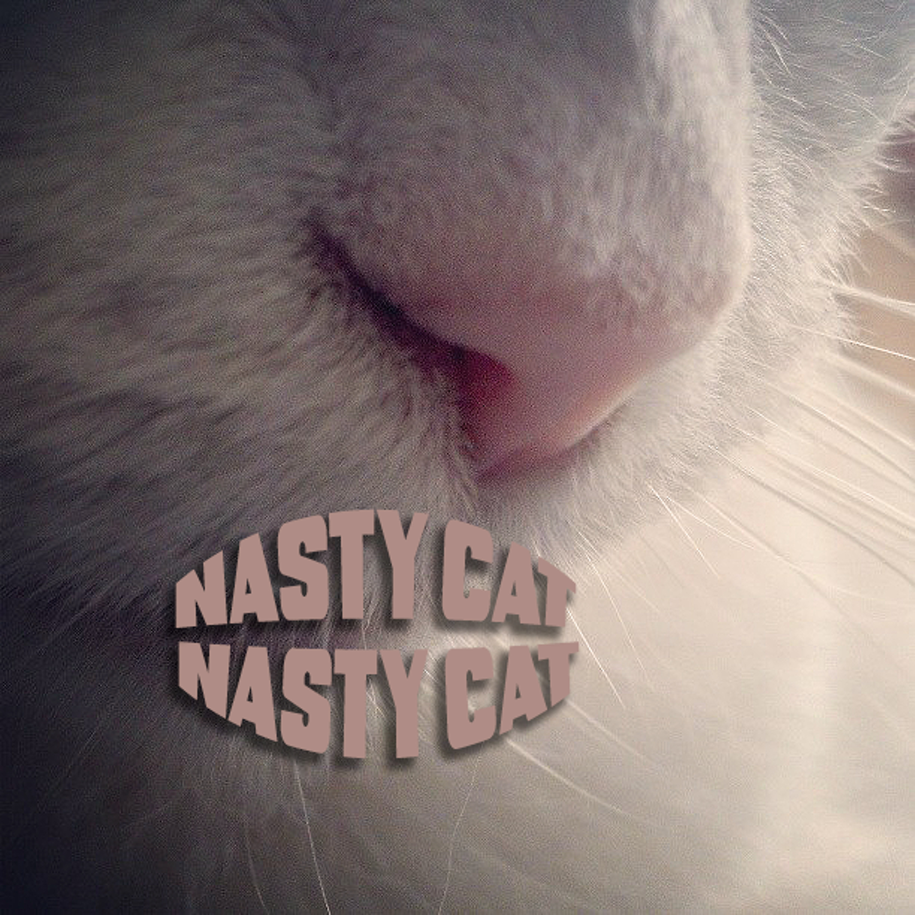 Nasty Cat