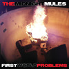 the-midnight-mules-hey-the-midnight-mules