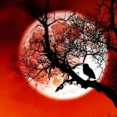 Knozah` B. - Pofonok az élettől (Demo) (INSTRUMENTAL)