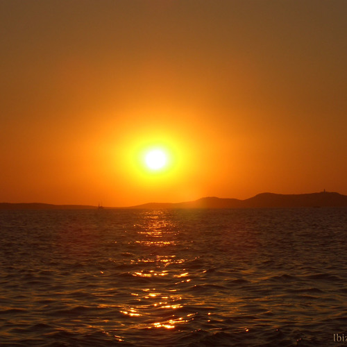 Acid Rain - Turn On, Tune In, Drop Out