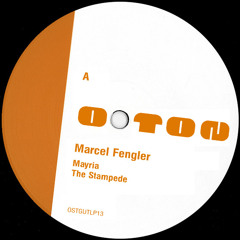 Marcel Fengler | Jaz