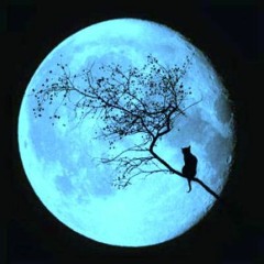 El despertar de la luna----chino y noaz