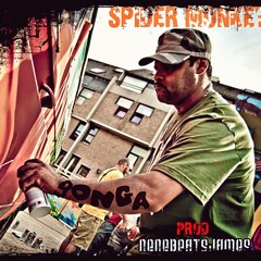 BONGA - SpiderMonkey  Prod By (NeneBeatsJames)
