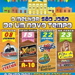01-BANDA STYLLUS