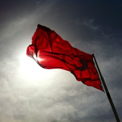 Yavuz Bingol-Urfa'ya Pasa Geldi