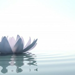 Elixir of Transformation meditation