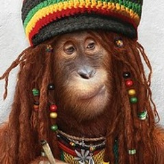 BHO..MIX..6.11.11..FREE.DOWNLOAD...A.F.M.G...GRIZZWALD