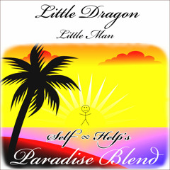 Little Dragon - Little Man (Self Help Paradise blend)