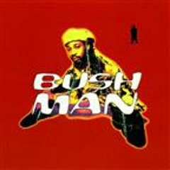 Bushman - 04 Ungo