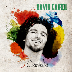 Camelia (2013) - David Cairol