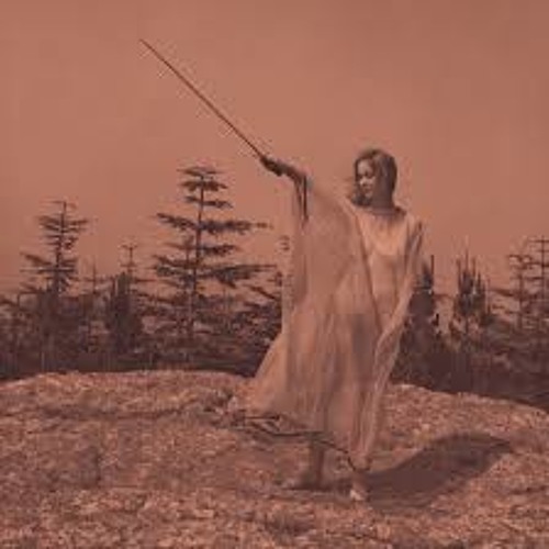 Unknown Mortal Orchestra - Swim and Sleep (Like a Shark)