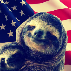200 sloths