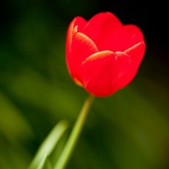 Just Give Me A Reason @fridavia @adryanikh