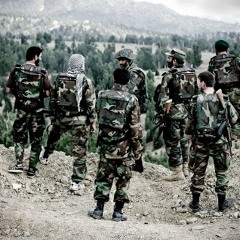 النشيد المميز كم تمنينا سنينا أن نكون مجاهدينا