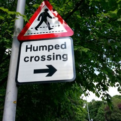 Serious Business  at Bingham Park