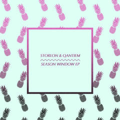 Storlon & Qantiem -  Bird Migration (Tilman's Love Mood Remix)