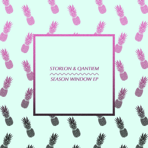 Storlon & Qantiem -  Bird Migration (Tilman's Love Mood Remix)