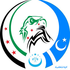 Yavuz Bingöl - Telli Turnam