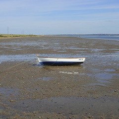frie - low tide