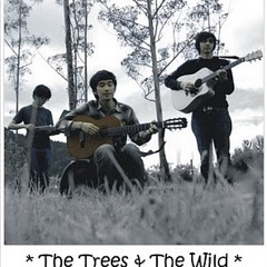 The trees and the wild - derau dan kesalahan