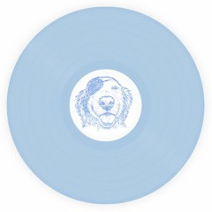 acasual - spring theory [blnd1765] ltd 12"