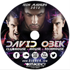 DAVID OBEK - TECH MASHUPS 3013 (House & Tech House & Techno)