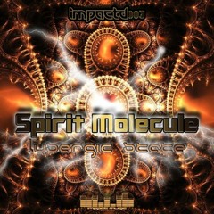 spirit molecule
