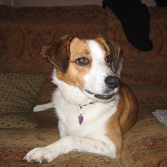 Interstellar - Finalist 2014 UK Songwriting Contest