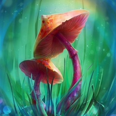 new stuff & neo style- minimal