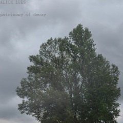 Alice Lues - patrimony of decay