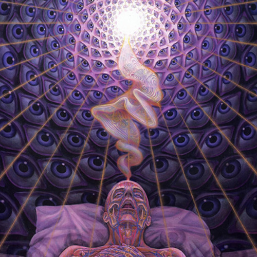 Ayahuasca Phase One