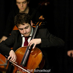 Schubert Arpeggione Sonata 1. mvt