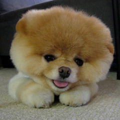 Reminiscing the past mix