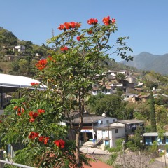 2.- Cuando fui a tu pueblo(1)