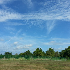 The Harmony Band - Muhammad Nûr