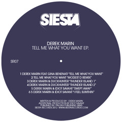 Derek Marin & Idiot Savant - Swept Away Siesta Records
