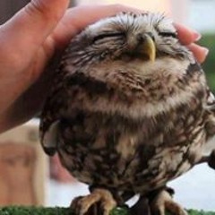 Điều Anh Nghĩ - Kaisoul a.k.a