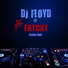 - Stevie ft. Pitbull Spring Love Dub Remix Dj Floyd 2013