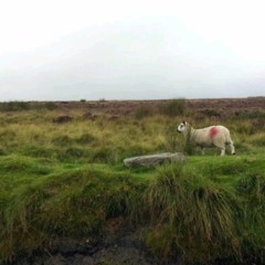 어느 영국인 부자의 정년퇴임