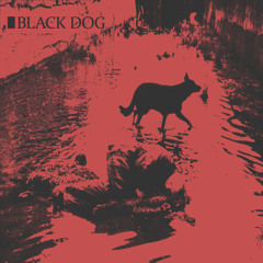 CTRL0: Black Dog