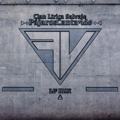 CLS - Pajaros Cantando (FV RMX)